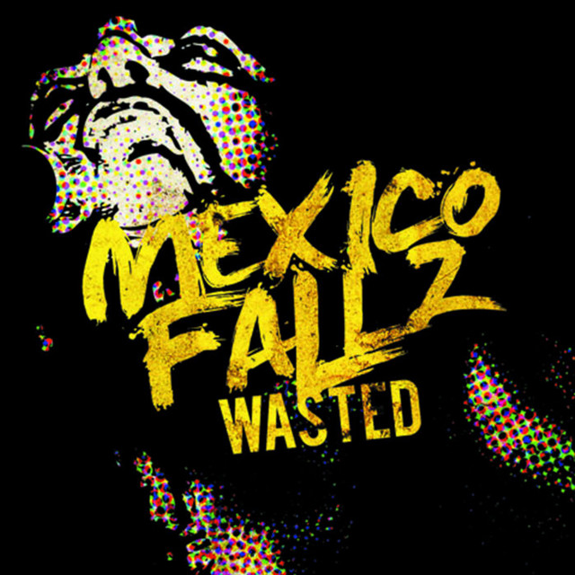 Wasted album cover