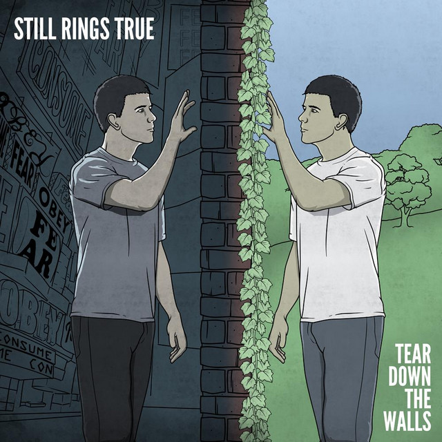 Tear Down the Walls album cover