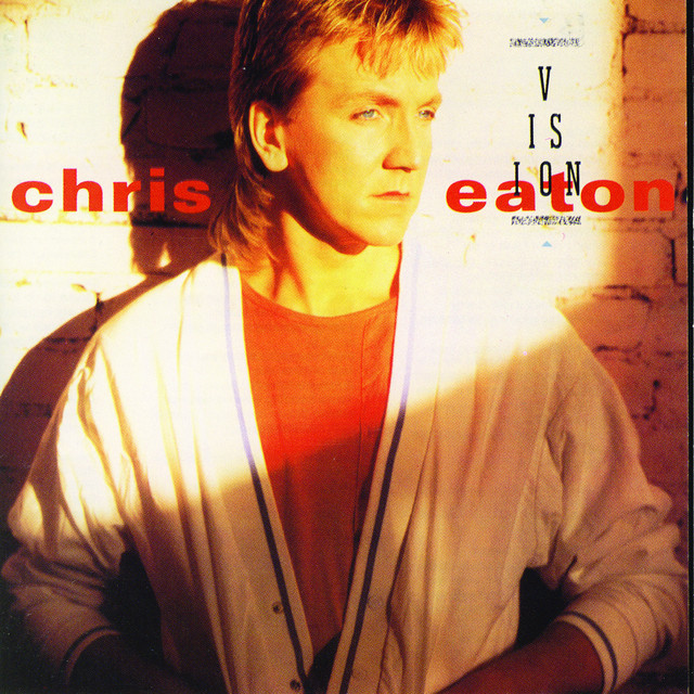 Vision album cover