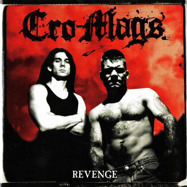 Revenge album cover