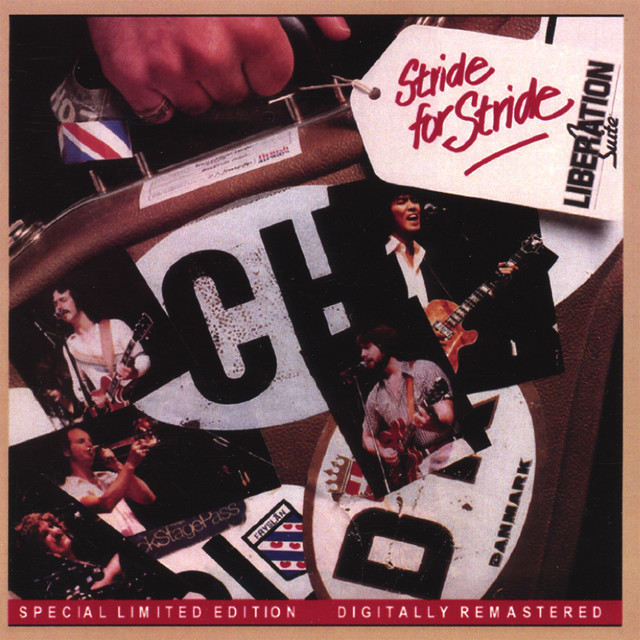 Stride For Stride album cover