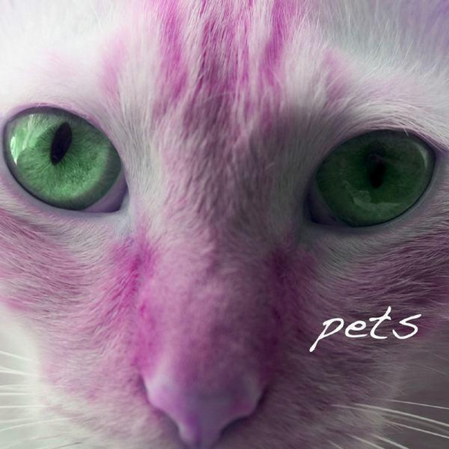 Pets album cover