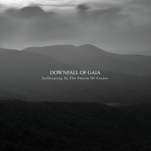 Suffocating in the Swarm of Cranes album cover