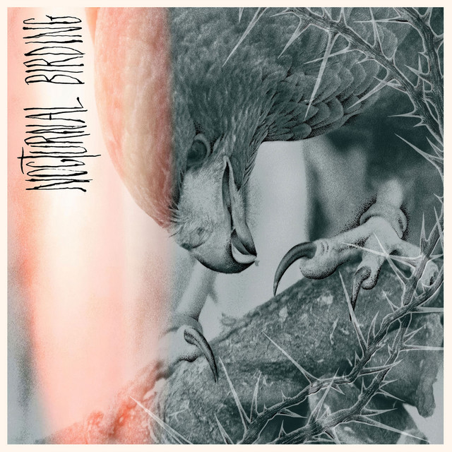 Nocturnal Birding album cover