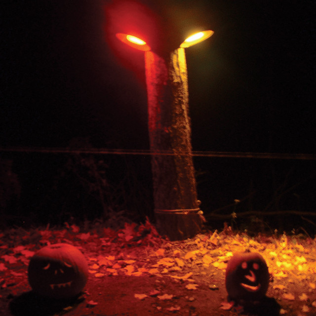 Flydust album cover