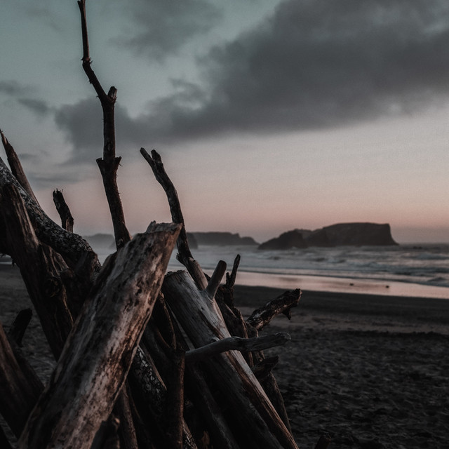 Driftwood album cover