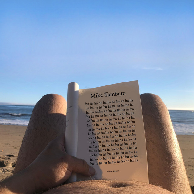 Private Humors album cover
