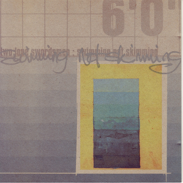 Swimming Not Skimming album cover