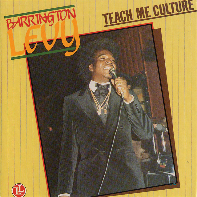 Teach Me Culture album cover