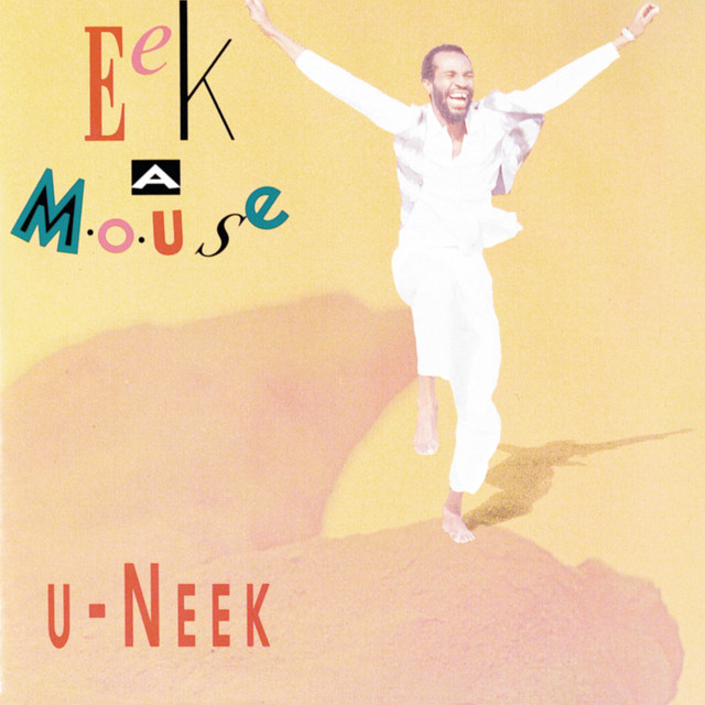 U Neek album cover