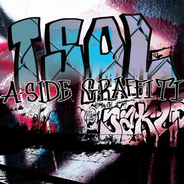 Fender Stratocaster Electric Guitar as heard on A-Side Graffiti by T.S.O.L. (2024)