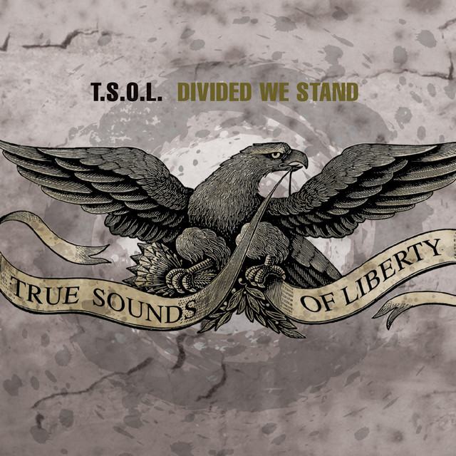 Divided We Stand album cover