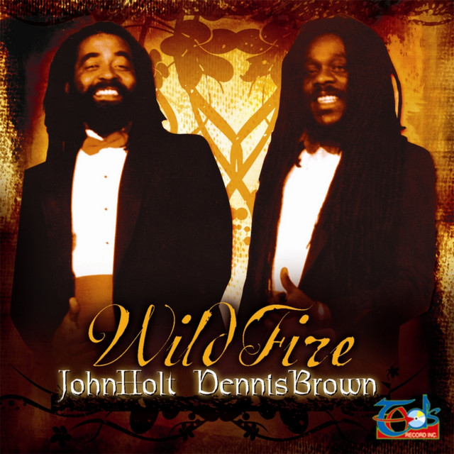 Wild Fire album cover