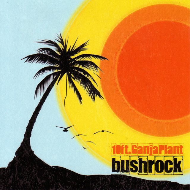Bush Rock album cover