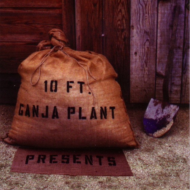 Presents album cover