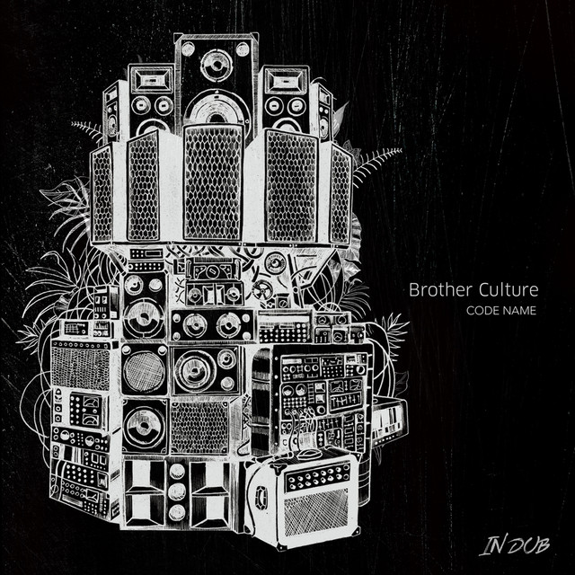 Code Name in Dub album cover
