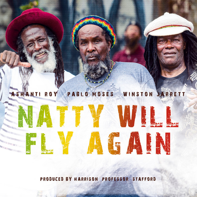 Natty Will Fly Again album cover