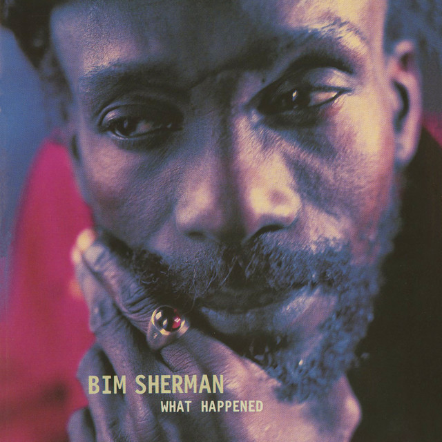 What Happened? album cover