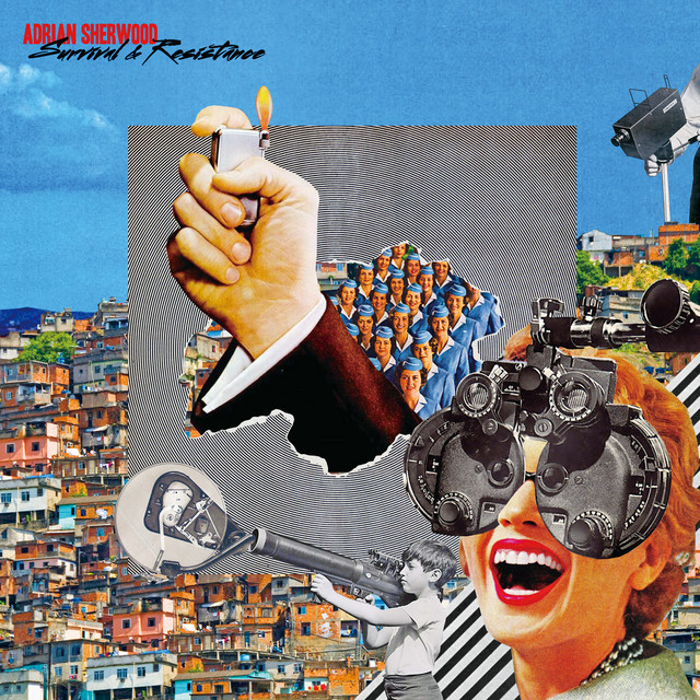 Survival & Resistance album cover