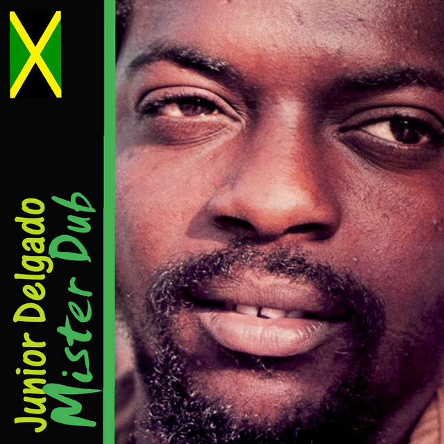 Mister Dub album cover