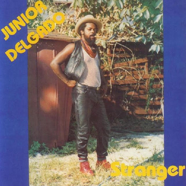 Stranger album cover
