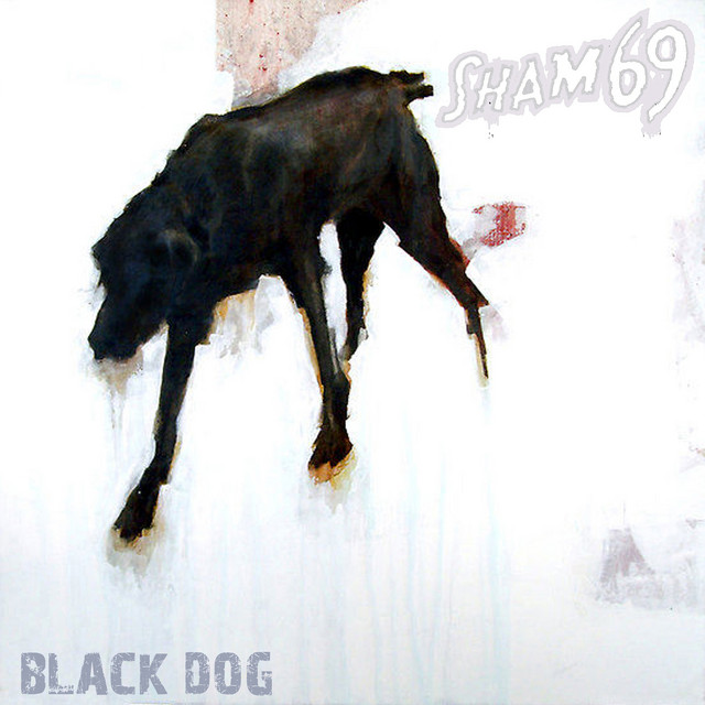 Black Dog album cover