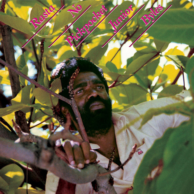 Rasta No Pickpocket (Bonus Track Version) album cover