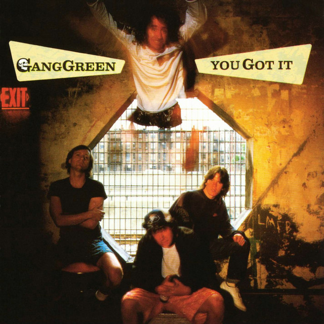 You Got It album cover