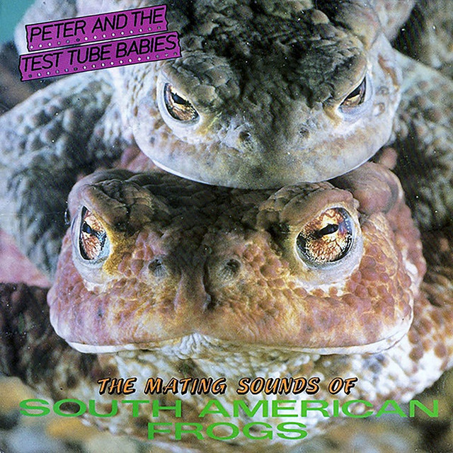 The Mating Sounds of South American Frogs album cover