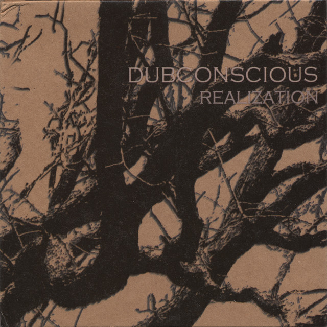 Realization album cover