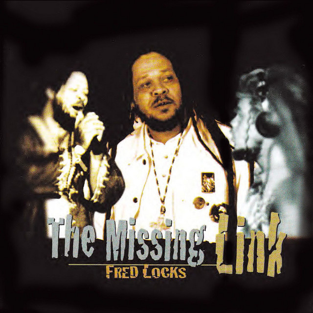 The Missing Link album cover