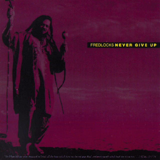 Never Give Up album cover