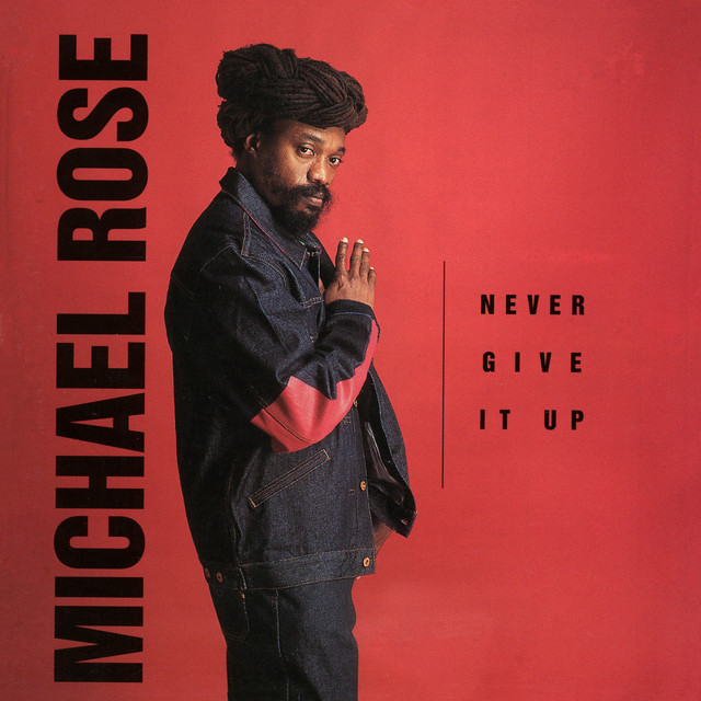 Never Give It Up album cover