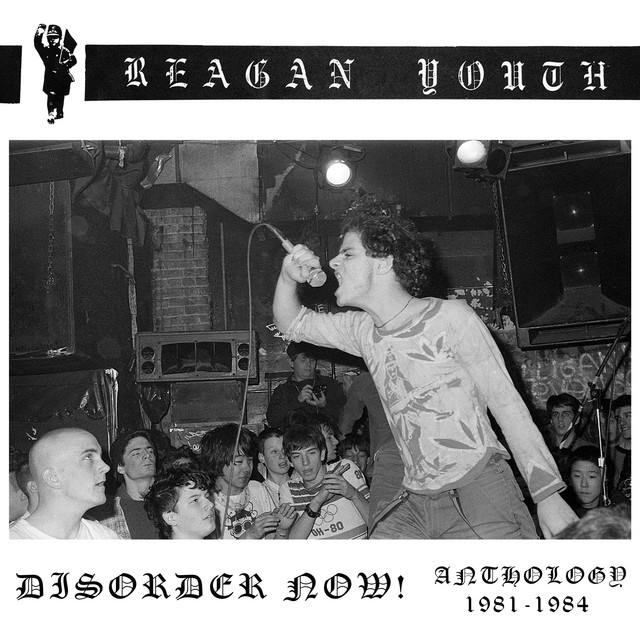Disorder Now! Anthology 1981-1984 album cover