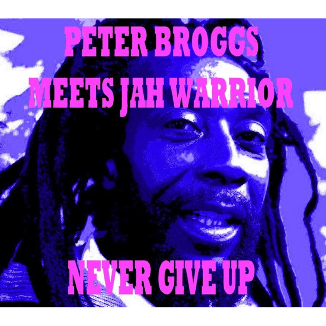 Never Give Up album cover