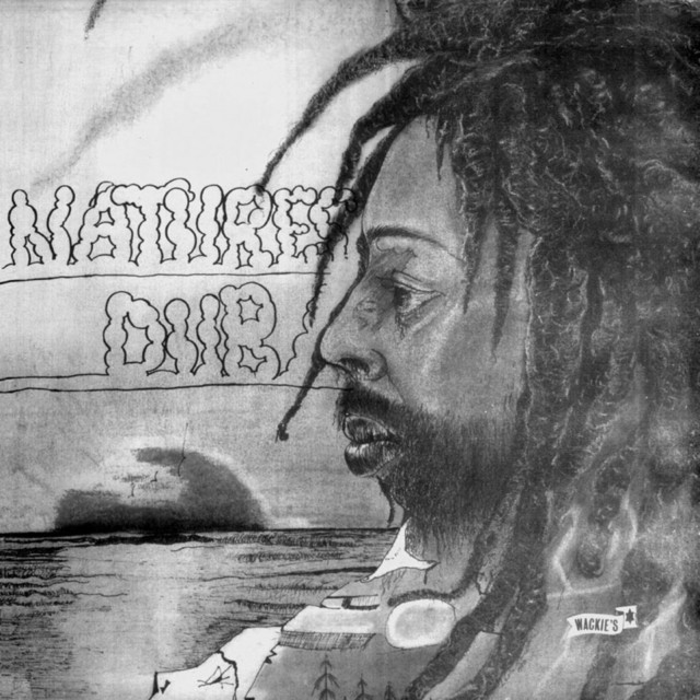 Natures Dub album cover