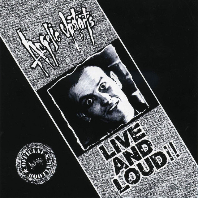 Live And Loud album cover