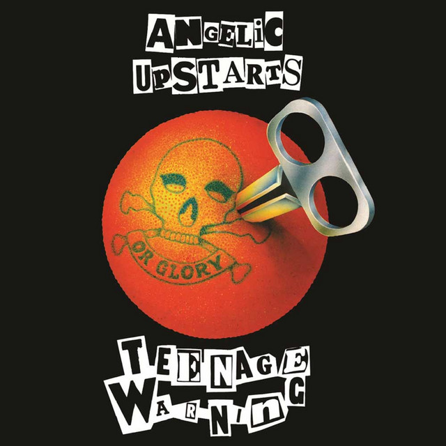Teenage Warning album cover