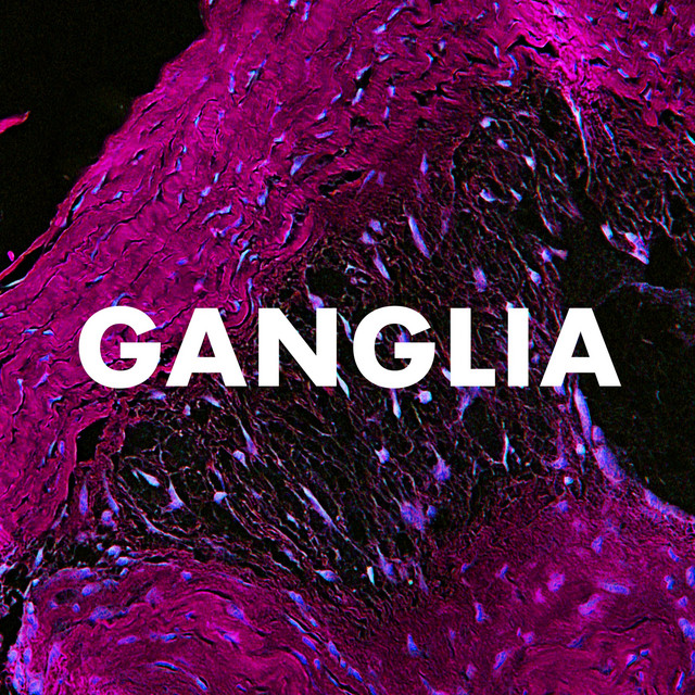 Waves H-Delay Hybrid Delay as heard on Ganglia by Andrew Huang (2020)