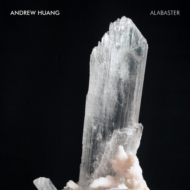Future Retro Transient Plus as heard on Alabaster by Andrew Huang (2019)