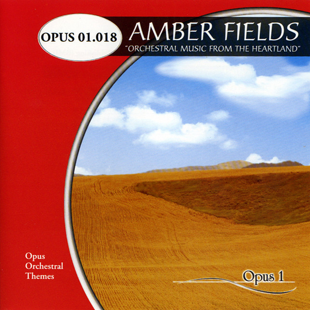 Amber Fields album cover