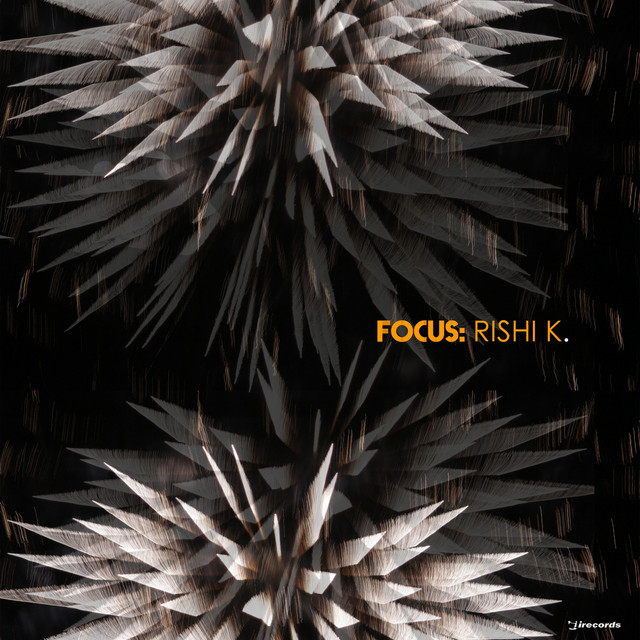 Focus: Rishi K. album cover