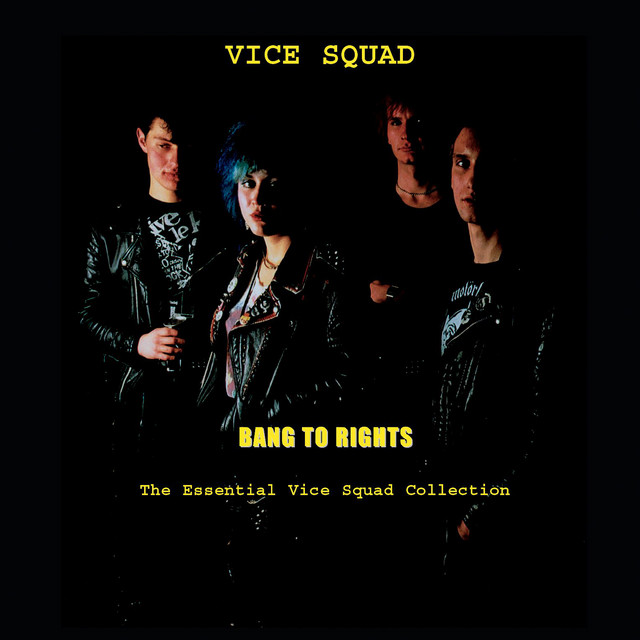 Bang To Rights: The Essential Vice Squad Collection album cover