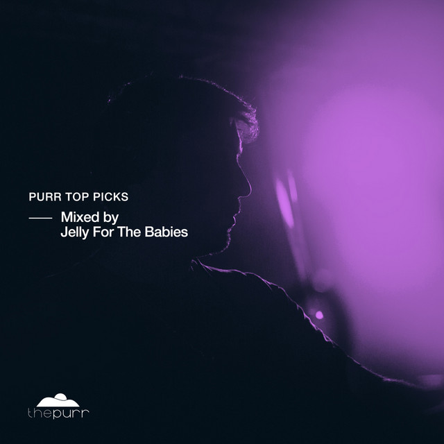 Purr Top Picks, Mixed by Jelly for the Babies (DJ Mix) album cover
