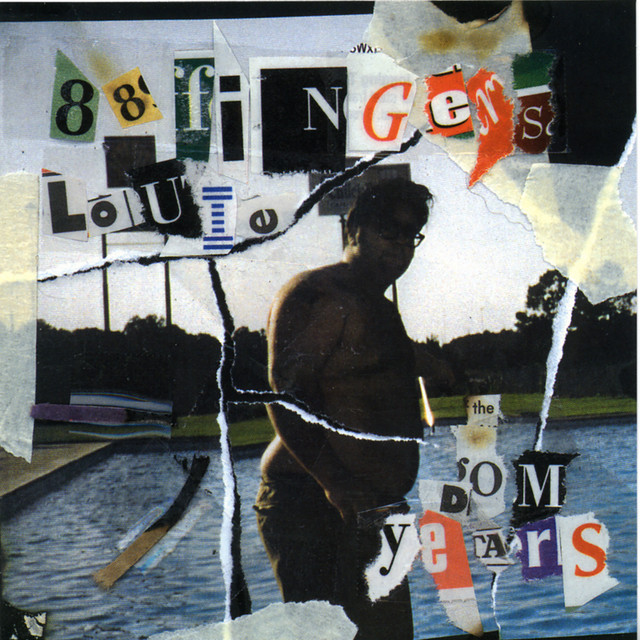 The Dom Years album cover