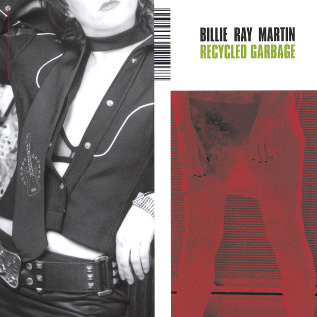 Recycled Garbage album cover