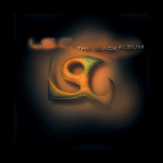 The Black Album album cover