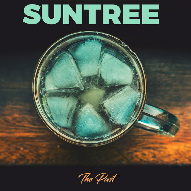 The Past album cover