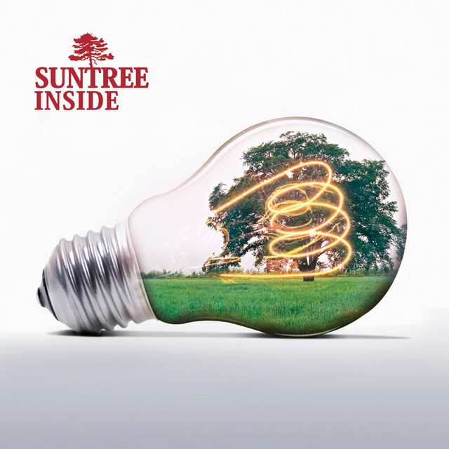 Inside album cover