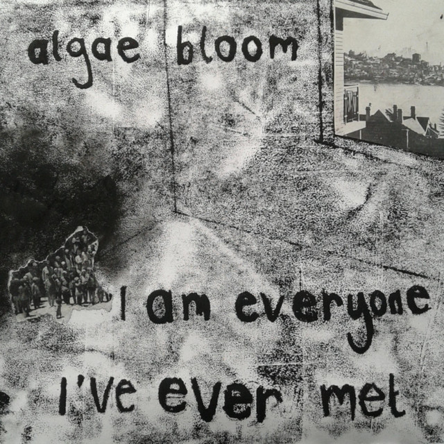 I am everyone I've ever met album cover